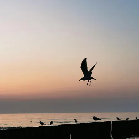 Morski Klimat 公寓 尤斯托尼莫斯基