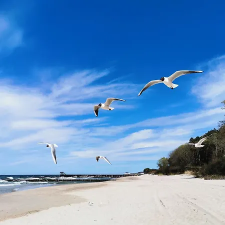 公寓 Morski Klimat 尤斯托尼莫斯基