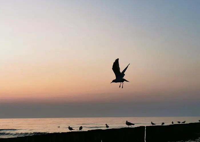 Morski Klimat Appartement Ustronie Morskie